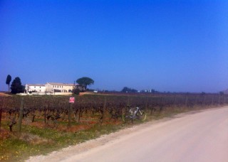 10628104_1339117682780333_9164230097146002876_n