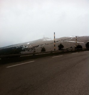 12140797_1349666678392100_4309130653460332594_n