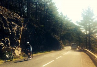 12472348_1346529985372436_5724892262993544732_n