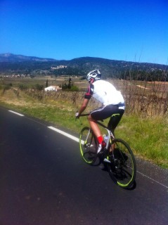 1460071_1346529865372448_721413644339756223_n