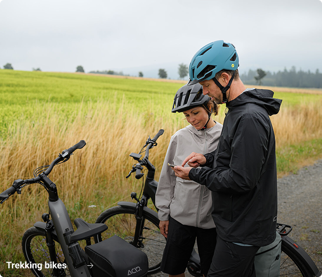E-Trekkingbikes