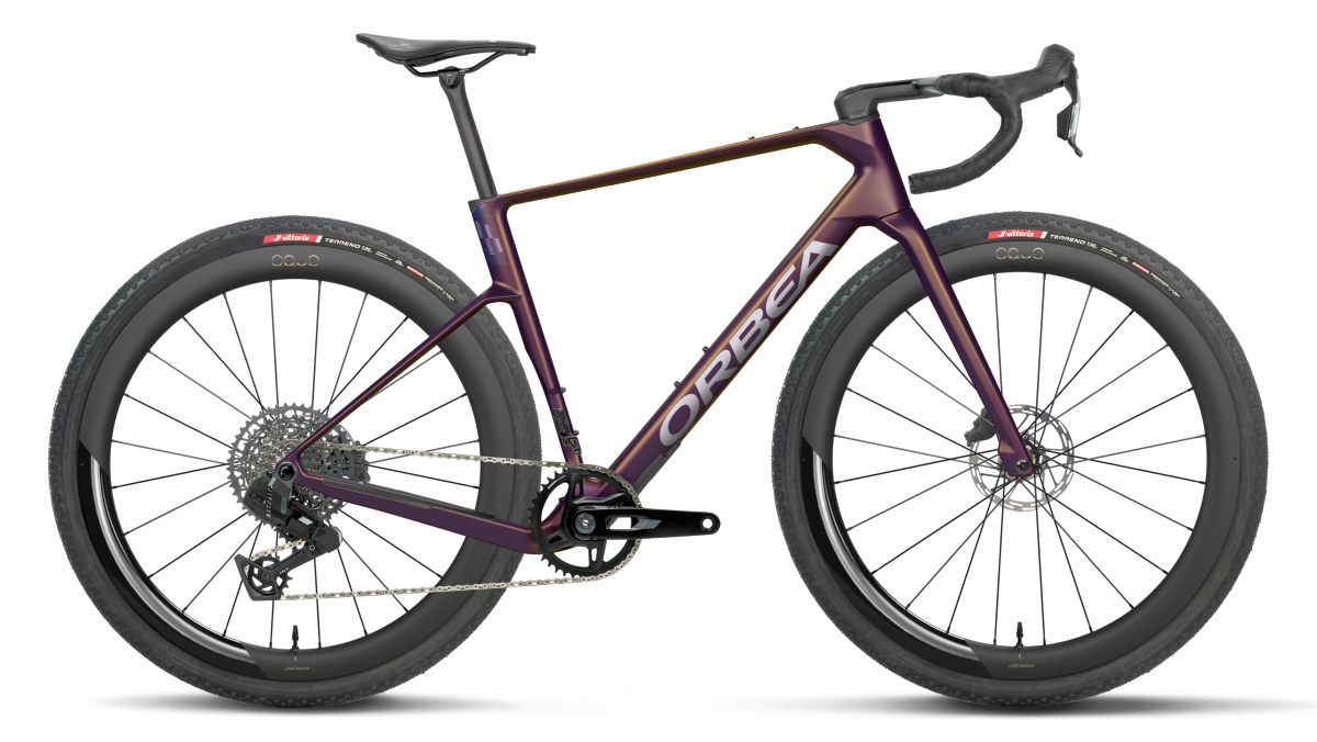 Orbea Terra Race M31e LTD 1X Carbon Gravel Fahrrad sunset carbon view 2027