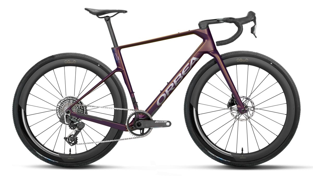 Orbea Terra Race M21e LTD 1X Carbon Gravel Fahrrad sunset carbon view 2027