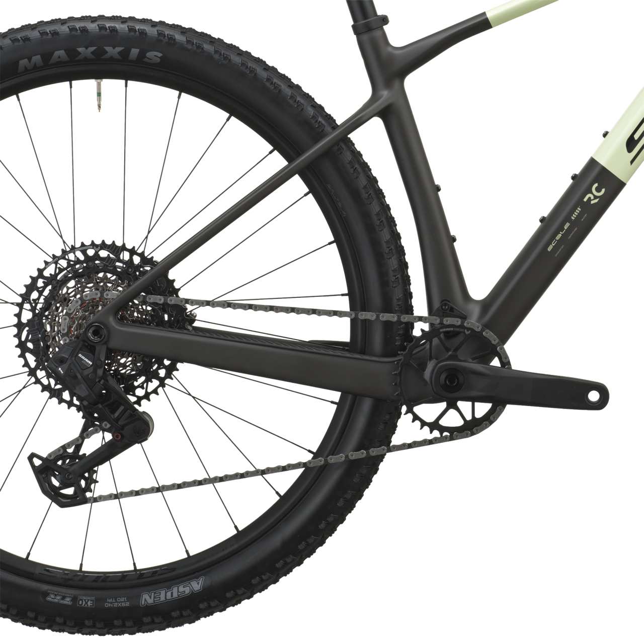 Scott Scale RC Team 29'' Carbon MTB Fahrrad cream grün/carbon schwarz 2027