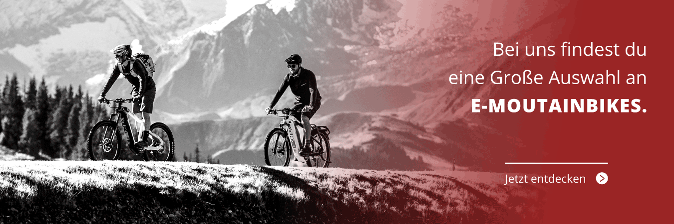 E-Mountainbikes zum Leasen bei we cycle