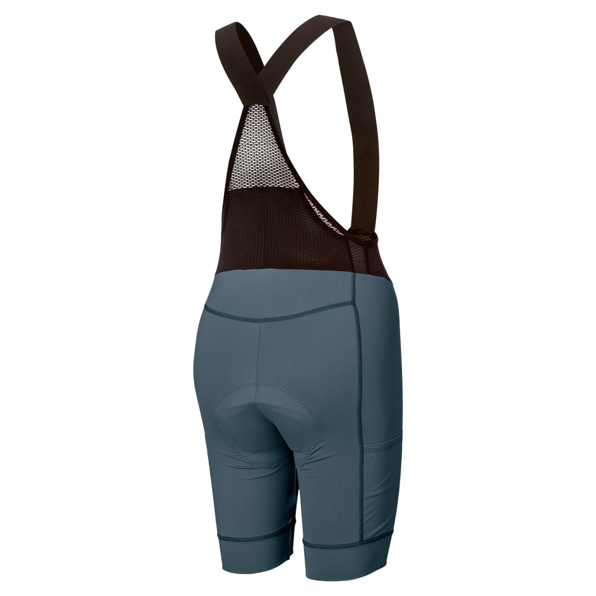 Scott Pro Cargo +++ Damen Fahrradträgerhose kurz crag blau 2027