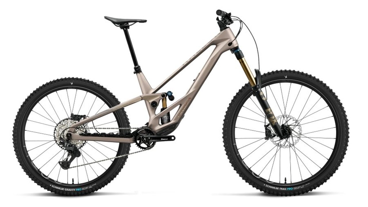 Orbea Rallon E-Team 29'' Carbon MTB Fahrrad nickel/nickel chrome 2027