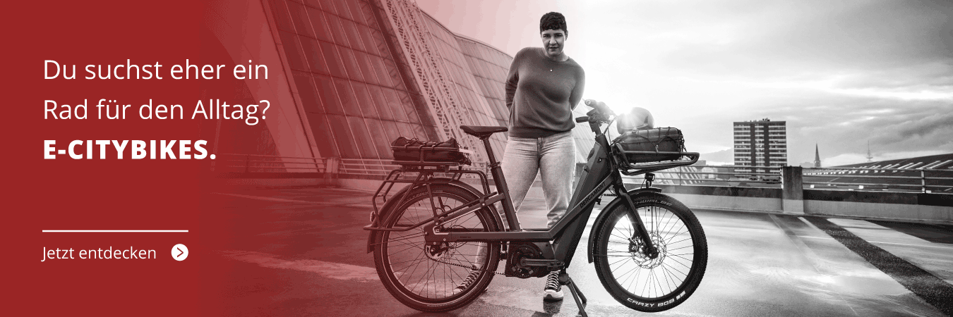 E-Citybikes zum Leasen bei we cycle