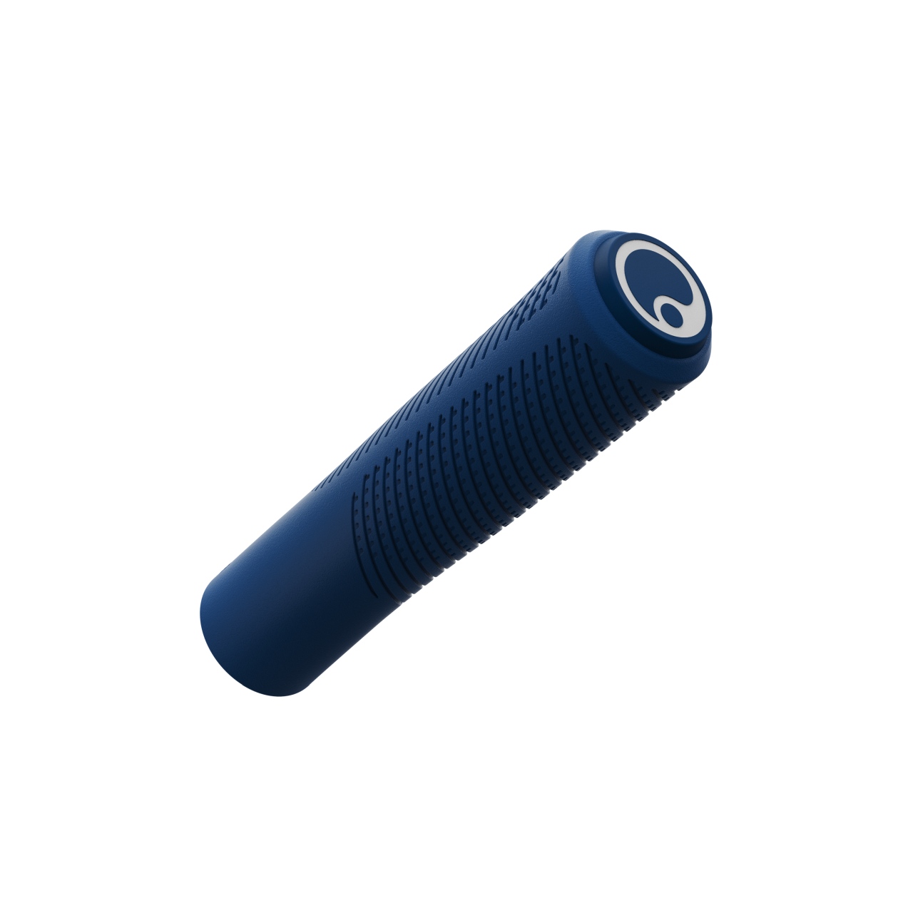 Ergon GXR MTB Fahrrad Griffe blau