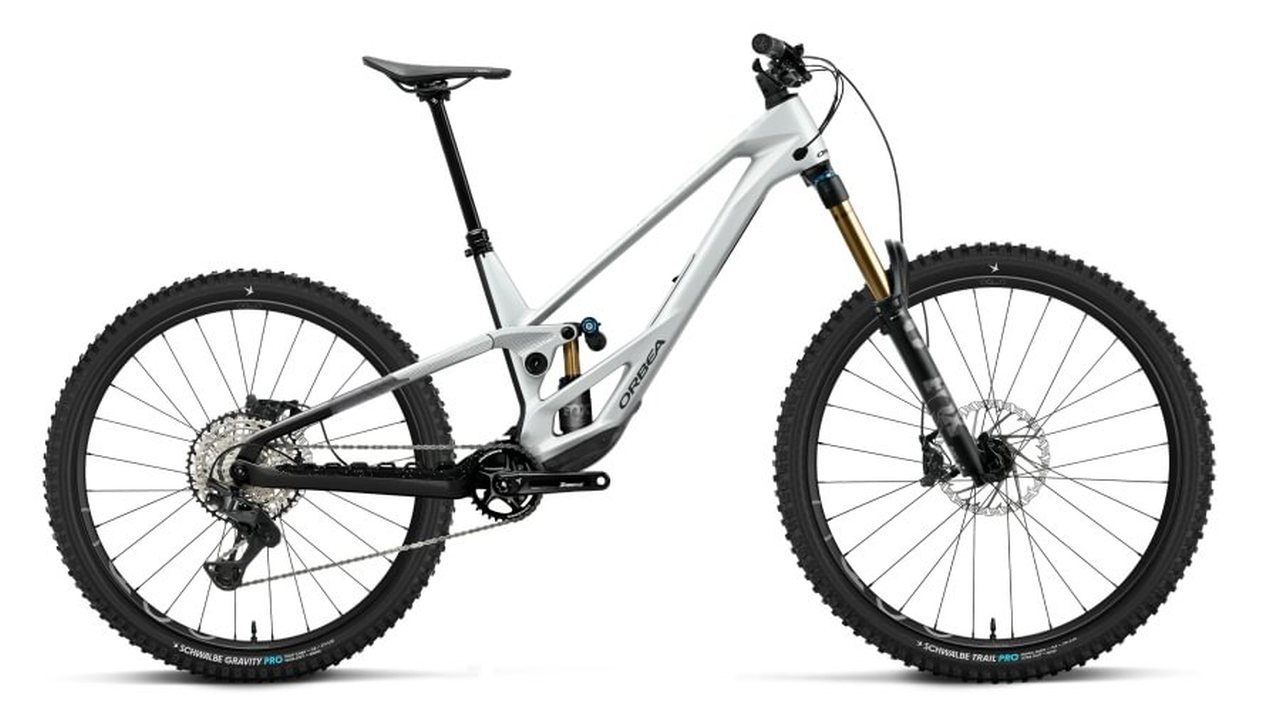 Orbea Rallon 450 E-Team 29'' Carbon MTB Fahrrad white chic/diamond black 2027