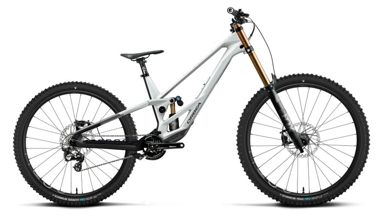 Orbea Rallon 450 D-LTD 29'' FR Carbon MTB Fahrrad white chic/diamond black 2027