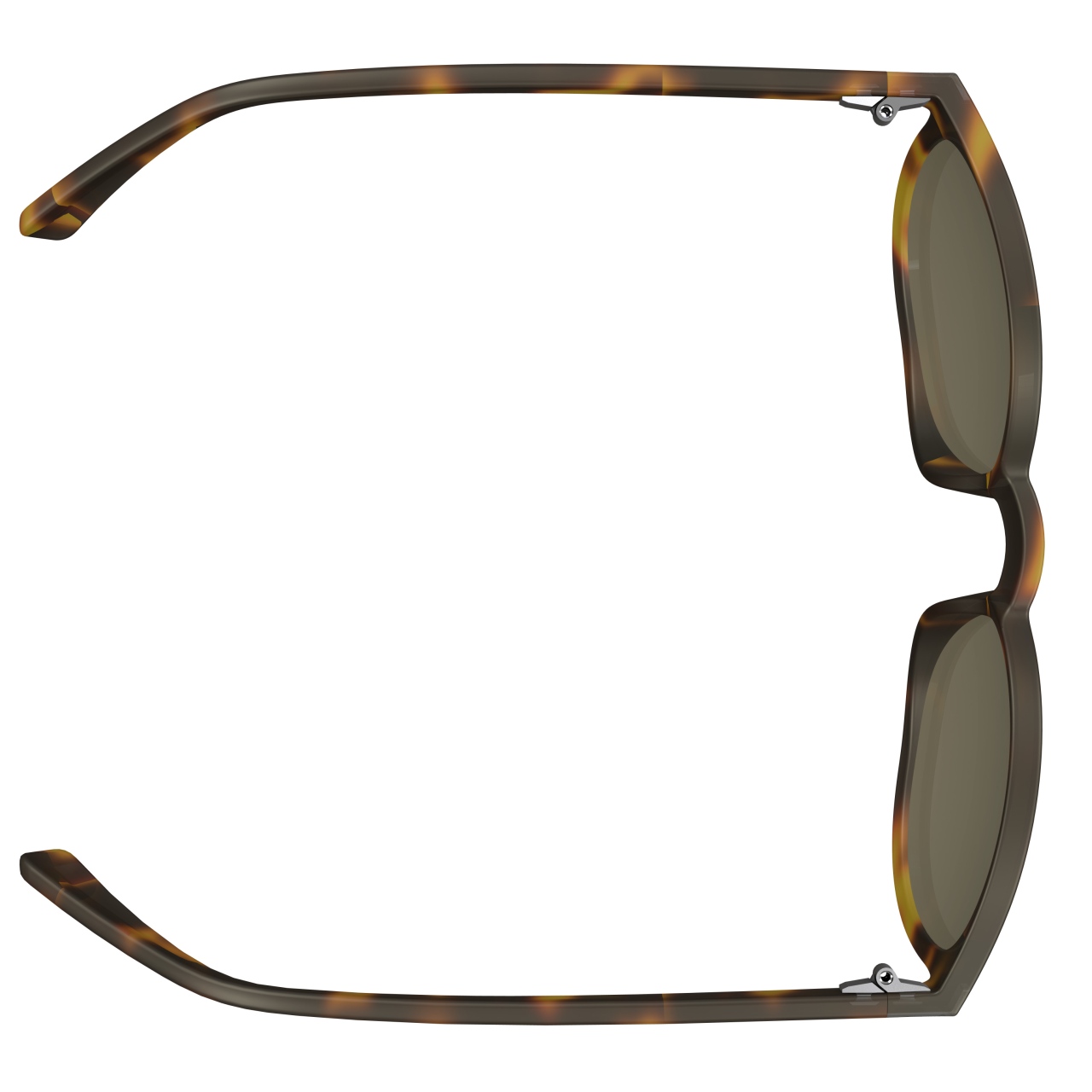 Scott Riff Sport / Freizeit Brille tortoise braun/braun