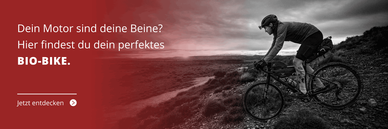 Bio-Bikes und Fahrräder zum Leasen bei we cycle