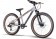 Eightshot X-Coady Disc 24'' Kinder Fahrrad grau 2026 