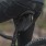 Topeak Weatherproof DynaWedge Strap Large Fahrrad Satteltasche wasserdicht schwarz 
