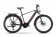 Raymon Tourray E 8.0 Pedelec E-Bike Trekking Fahrrad grau/rot 2021 