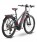 Raymon Tourray E 8.0 Damen Pedelec E-Bike Trekking Fahrrad grau/rot 2021 