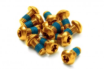 Reverse Bremsscheiben Befestigungs- Schrauben-Set 12 Stück M5x10mm gold 