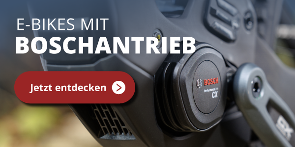 Fahrradbanner Geschenkidee für Kinder führt zur Landingpage